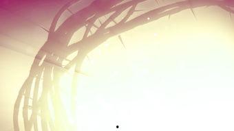 荆棘视频,探寻荆棘视频背后的故事与启示