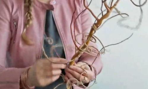 绳束视频,揭秘绳艺魅力与技巧