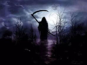 镰刀视频,揭秘农业现代化背后的科技力量