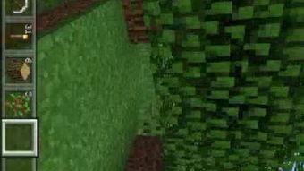 录mc视频,MC视频精彩瞬间回顾